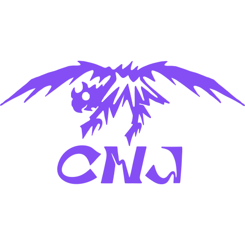 Choongnam CNJ esports